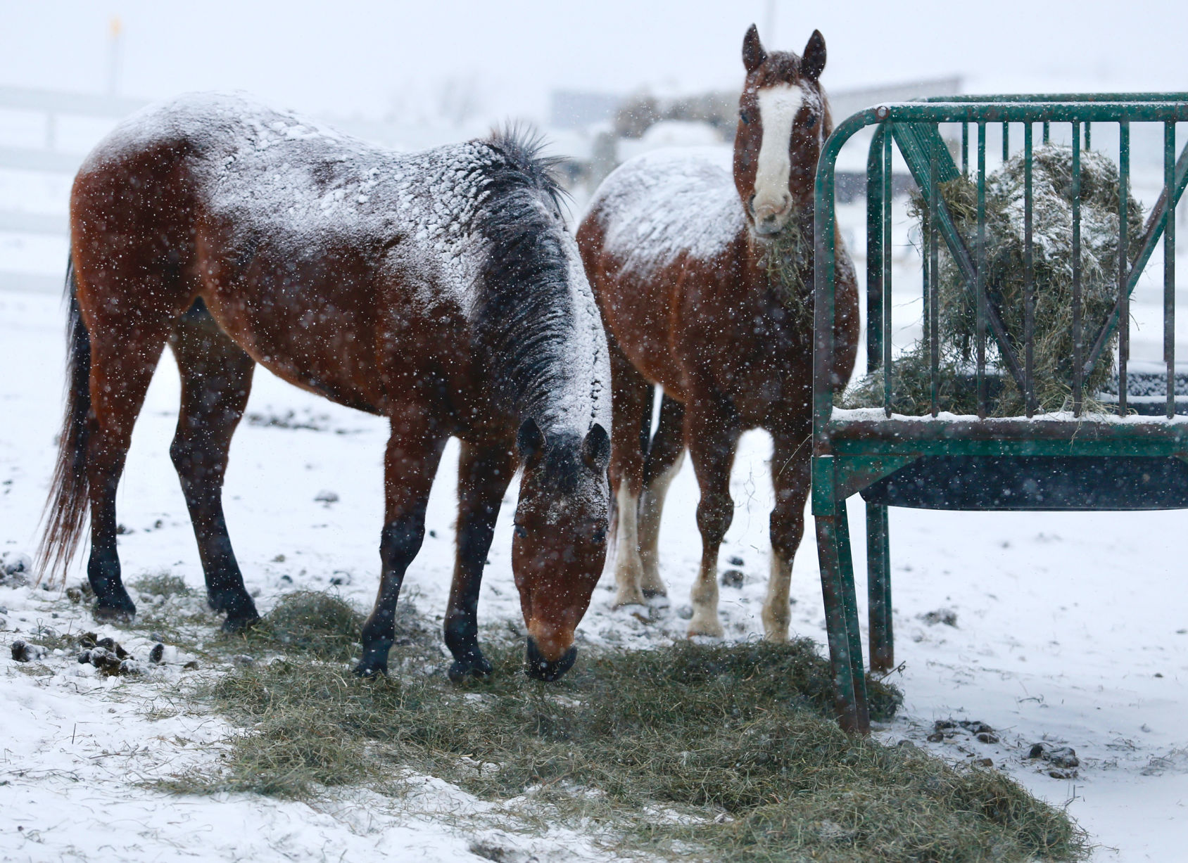 Snow Photos 2019 2